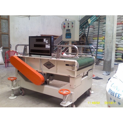 Cân băng tải nhập hàng - CWS-03